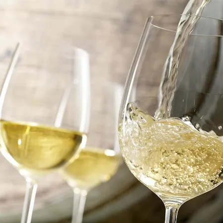 Casa de hóspedes Bodrogzug Tokaj
