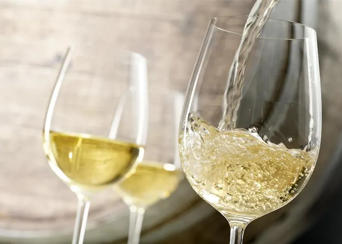 Maison d'hôtes Bodrogzug Tokaj